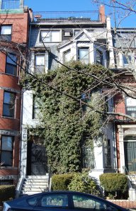 391 Marlborough (2013)